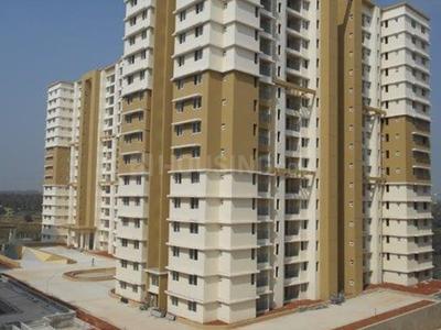 3 BHK Apartment
