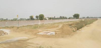 Residential Plot