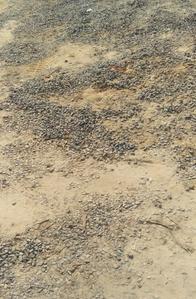 Gallery Cover Image of Sq.ft Residential Plot for buy in Sector 51 for 28614000