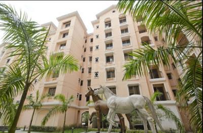 3 BHK Apartment