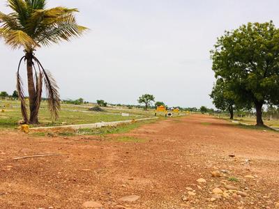 Gallery Cover Image of Sq.ft Residential Plot for buy in Thirunindravur for 210000