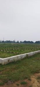 Residential 1200 Sqft Plot for sale at Rajgir, Nalanda | Property ...