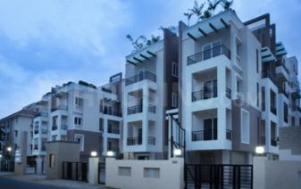 1 BHK Apartment