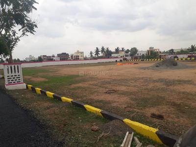 Residential Plot