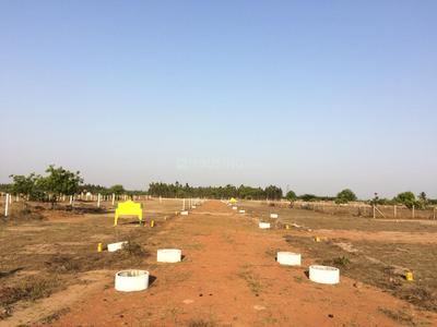 Gallery Cover Image of Sq.ft Residential Plot for buy in Thirunindravur for 737100