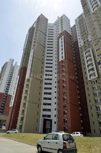 3 BHK Apartment