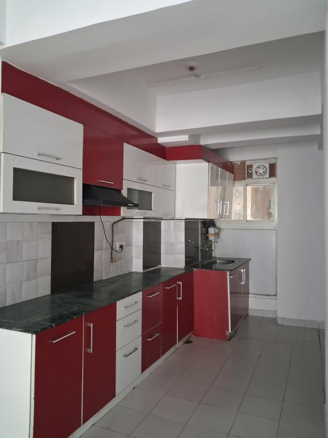 Paras Tierea - Image 21