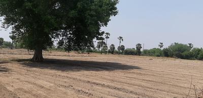 Gallery Cover Image of Sq.ft Residential Plot for buy in Yadagirigutta for 1567500