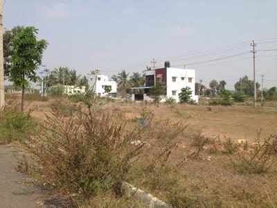 Residential Plot