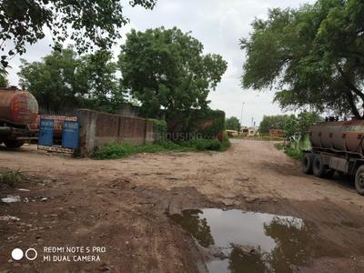 10000 Sq.ft Residential Plot for Sale in Narolgam, Ahmedabad