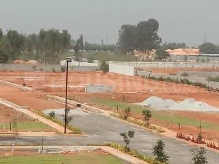 Residential Plot