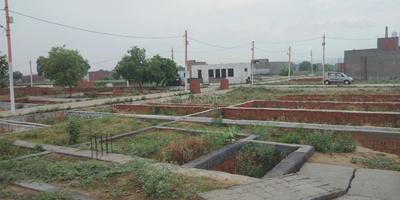Residential Plot
