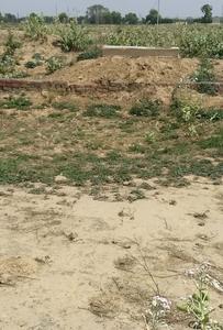 Residential Plot