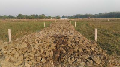 Gallery Cover Image of 700 Sq.ft Residential Plot for buy in Baruipur for 440000