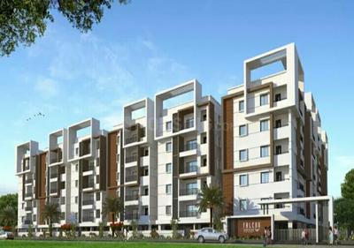 3 BHK Apartment