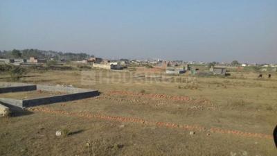 Residential Plot