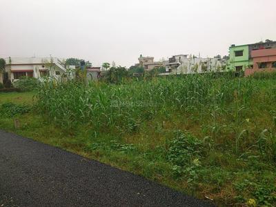 1089 Sq.ft Residential Plot for Sale in Ajabpur Khurd, Dehradun