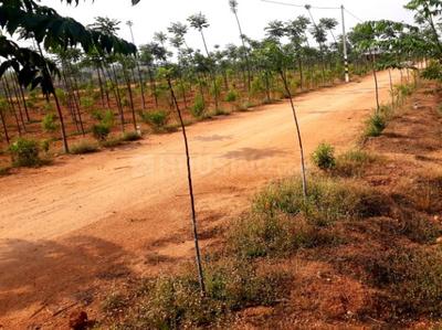 Residential Plot