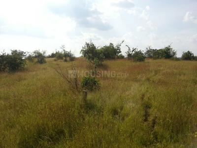 Residential Plot