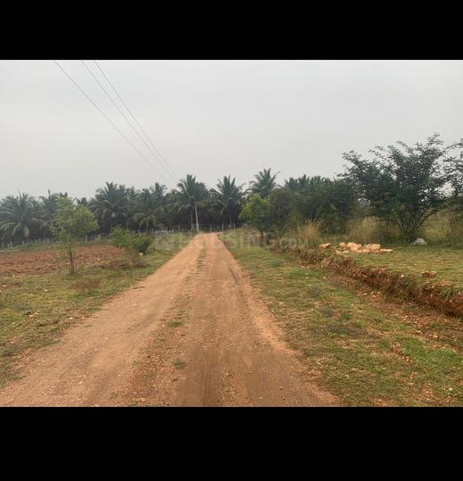 Residential 88000 Sqft Plot for sale at Avinashi Taluk, Tiruppur