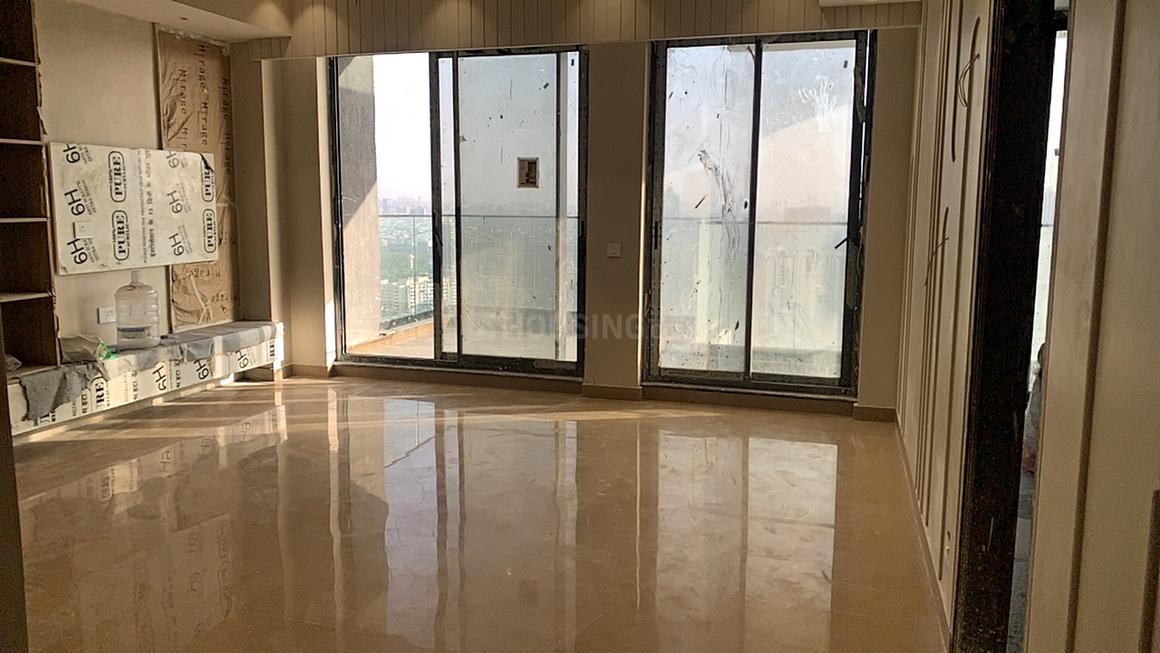 Apex D Rio - Image 6