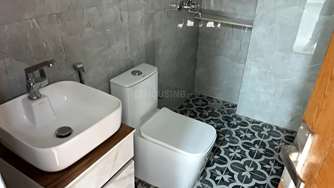 Town White Orchid - Image 6