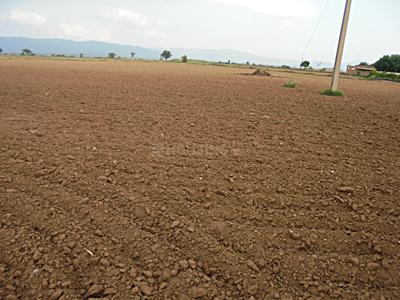 Residential Plot