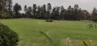 Residential Plot