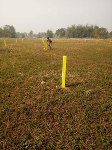 Gallery Cover Image of Sq.ft Residential Plot for buy in Thakurpukur for 216000