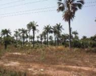 Gallery Cover Image of Sq.ft Residential Plot for buy in Cox Town for 20000000