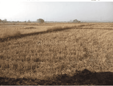 Gallery Cover Image of Sq.ft Residential Plot for buy in Paundkhar for 500000