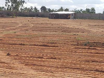 Residential Plot
