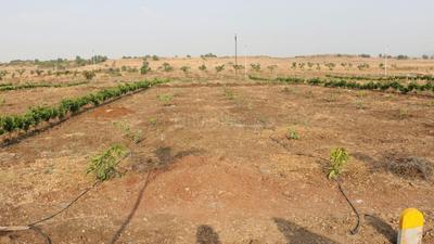 Gallery Cover Image of Sq.ft Residential Plot for buy in Trimbak for 1750000