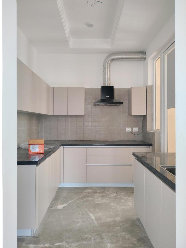 ACE Ace Starlit - Image 13