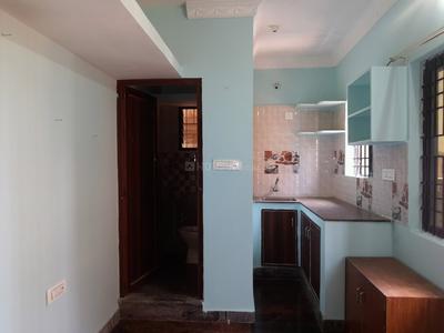 1 RK Apartment