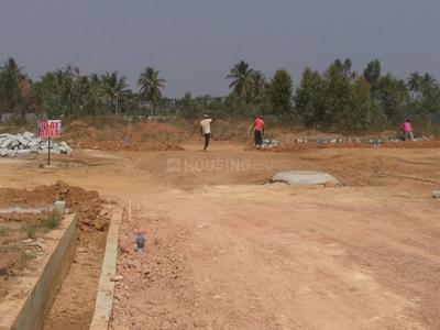 Residential Plot