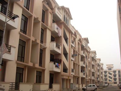 3 BHK Apartment