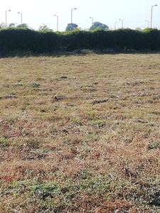 Residential Plot