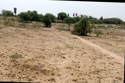Gallery Cover Image of Sq.ft Residential Plot for buy in RS Puram for 292500000