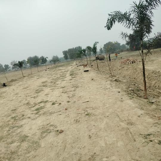 1000 Sqft Agricultural Land for Sale in Mohanlalganj, Lucknow