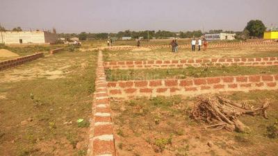 Residential Plot