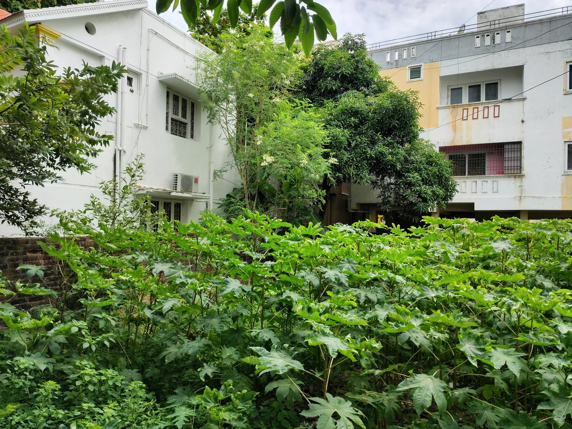 Ags Colony Resale Flats In Mugalivakkam Sri Abinaya Aadhithya