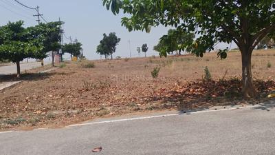 Gallery Cover Image of Sq.ft Residential Plot for buy in Hampa Pura for 4231300