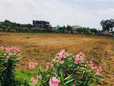 Residential Plot