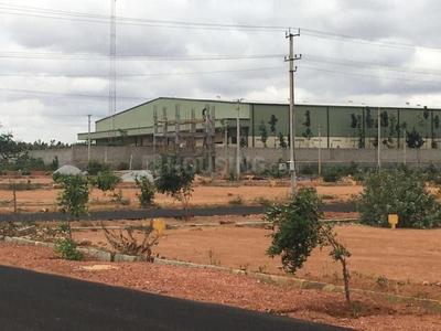 Residential Plot