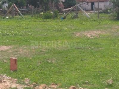 Gallery Cover Image of Sq.ft Residential Plot for buy in Veppampattu for 480000
