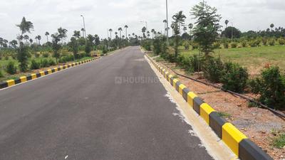Residential Plot