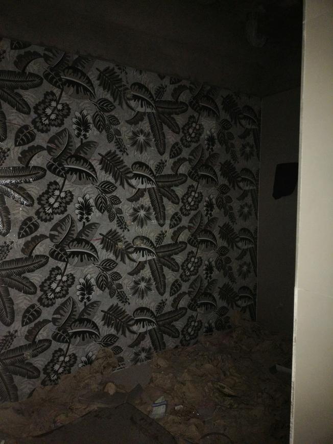 Marshal City Shine - Image 10