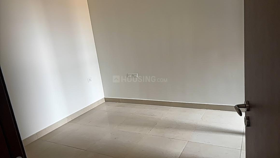 CANVAS & COVE - Image 9