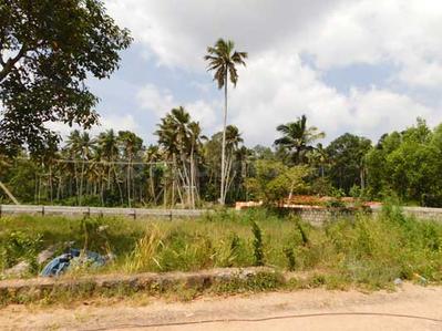 Gallery Cover Image of Sq.ft Residential Plot for buy in Balaramapuram for 3000000
